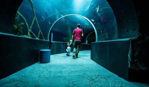 Aquatis Aquarium Vivarium, Tunnel © Nuno Acacio