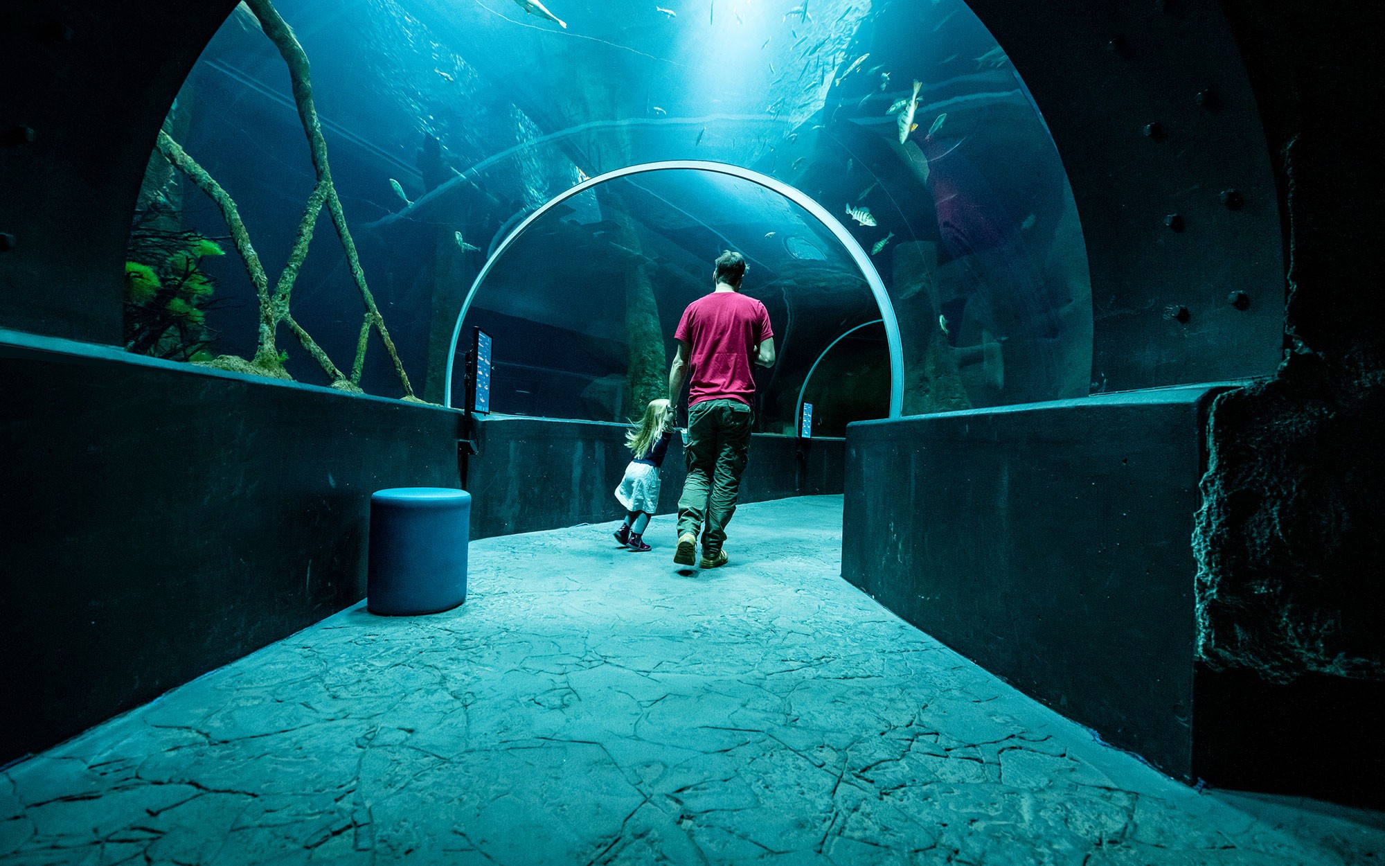 Aquatis Aquarium Vivarium, Tunnel © Nuno Acacio