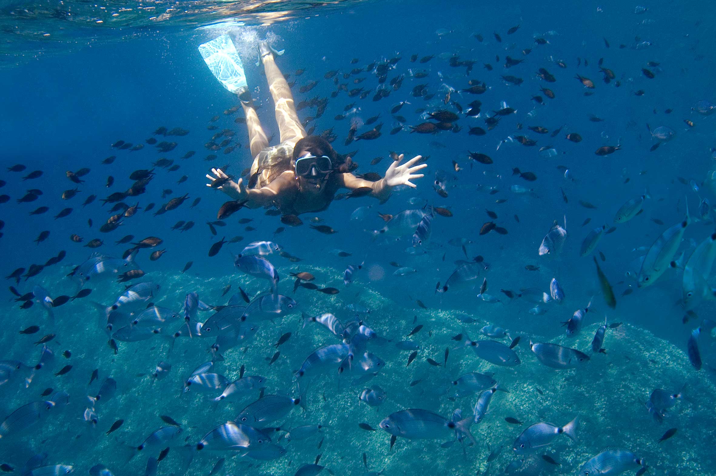 Schnorcheln Auge in Auge mit zig Fischen: Ein tiefenentspannendes Erlebnis auf Elba.