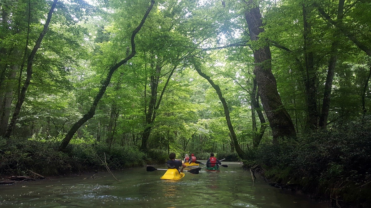 Im Kanu unterwegs durch die gewässer der Kirklareli Auenwäldern