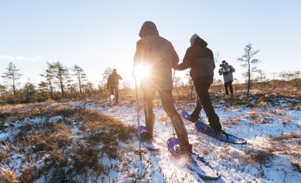 Estland Group of people going hiking in bog