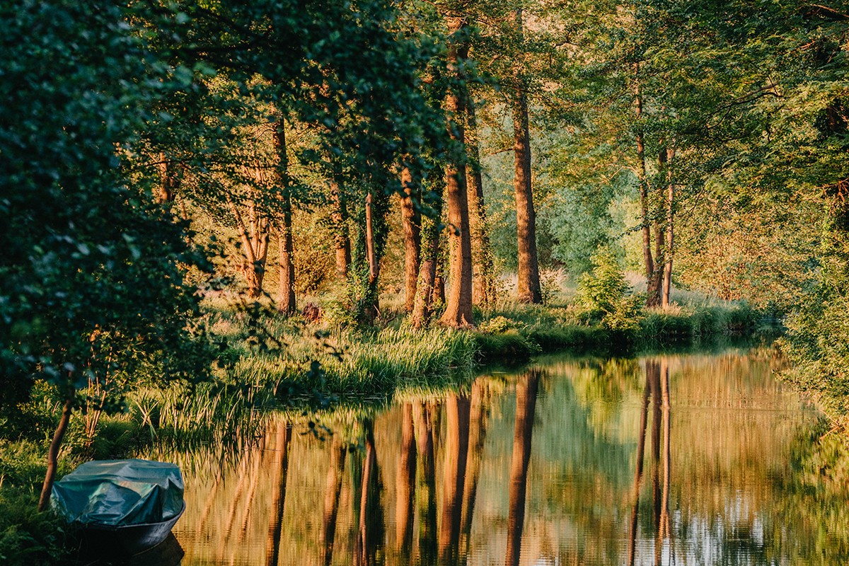 Der Spreewald in Brandenburg