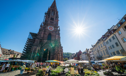 Der Münstermarkt in Freiburg