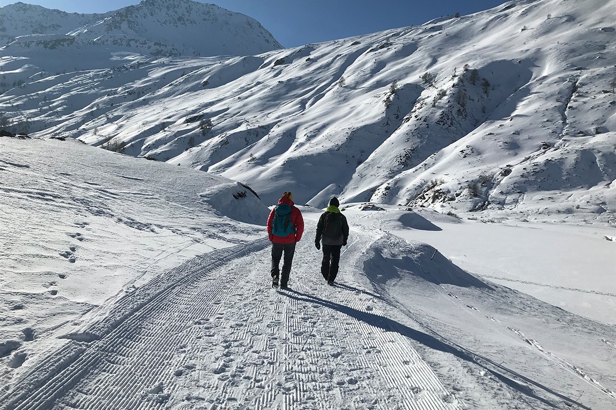 Ein Schneeteppich bedeckt die hügelige Simplon-Passlandschaft im Gebiet Brig-Simplon