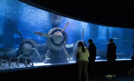 Das Aquarium © Go Türkiye