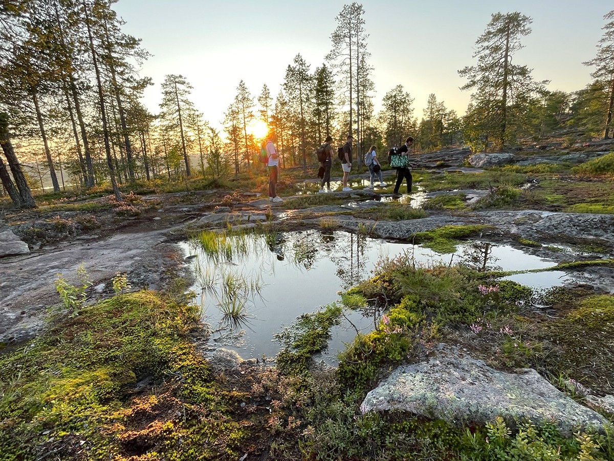 Wandern in Lappland