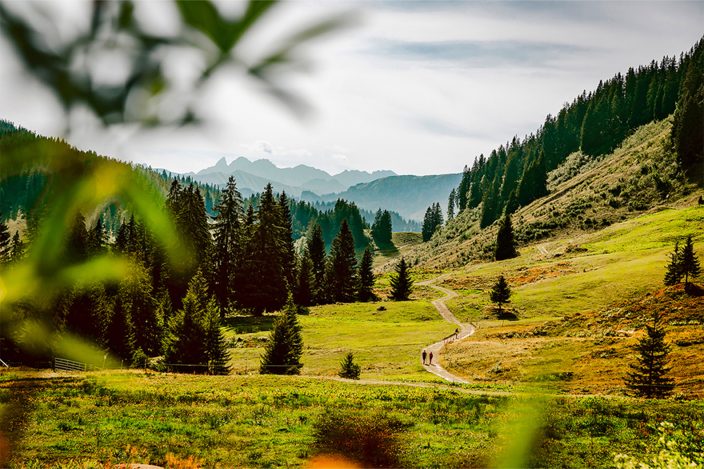 Die Landschaft im Allgäu lädt zum Aufatmen ein.