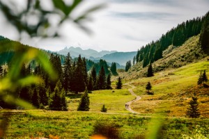 Die Landschaft im Allgäu lädt zum Aufatmen ein.