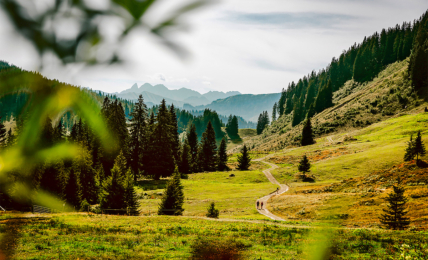 Die Landschaft im Allgäu lädt zum Aufatmen ein.