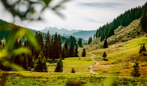 Die Landschaft im Allgäu lädt zum Aufatmen ein.
