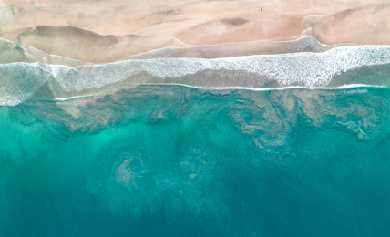 Klare Verhältnisse an der Playa Grande in Costa Rica.