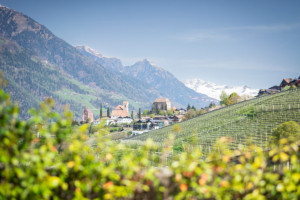 Blick auf Schenna im Südtirol