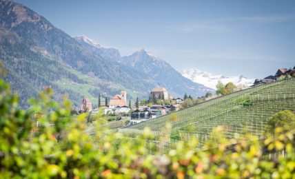 Blick auf Schenna im Südtirol