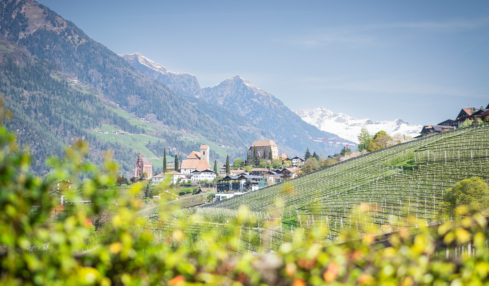 Blick auf Schenna im Südtirol