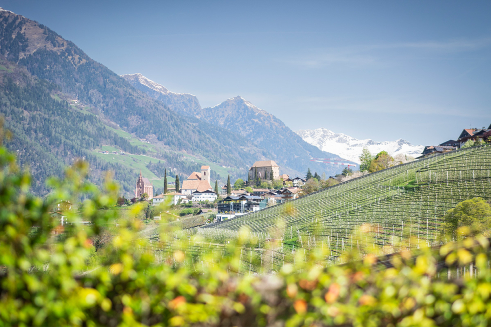 Blick auf Schenna im Südtirol