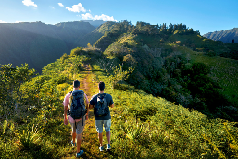 Wild und schön: Das Inselinnere von Tahiti